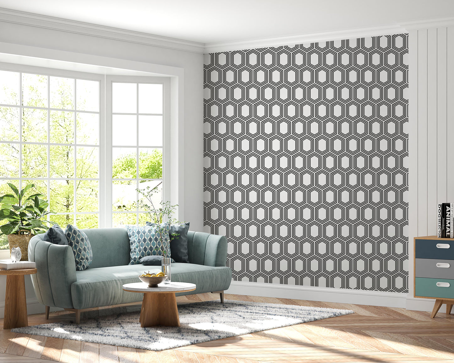 Limited Edition: HEX